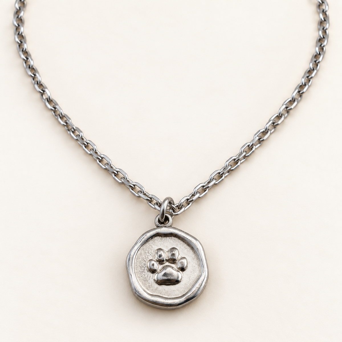Paw Print Coin Necklace